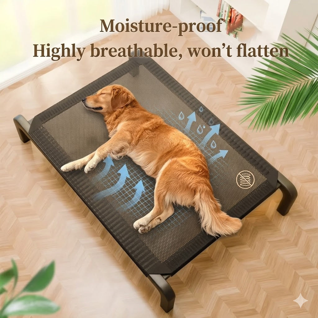 Elevated Dog Bed for Outdoor and Indoor Use – Moisture-Proof Raised Pet Cot with Non-Slip Feet – Durable Portable Bed for Large Dogs and Cats