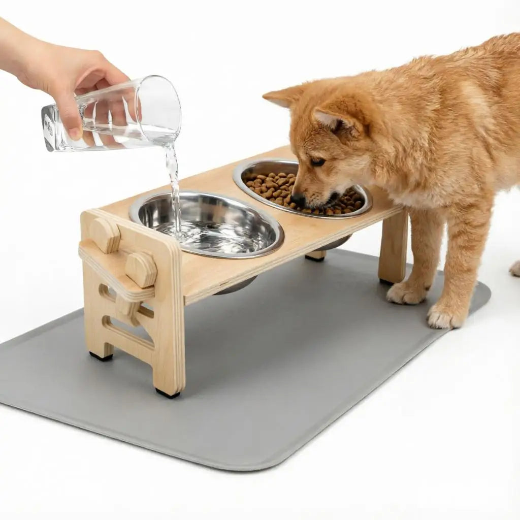 Elevated Tilted Pet Bowls – 15° Raised Stainless Steel Food and Water Feeder Stand for Small Dogs and Cats – Ergonomic Anti-Vomiting Station
