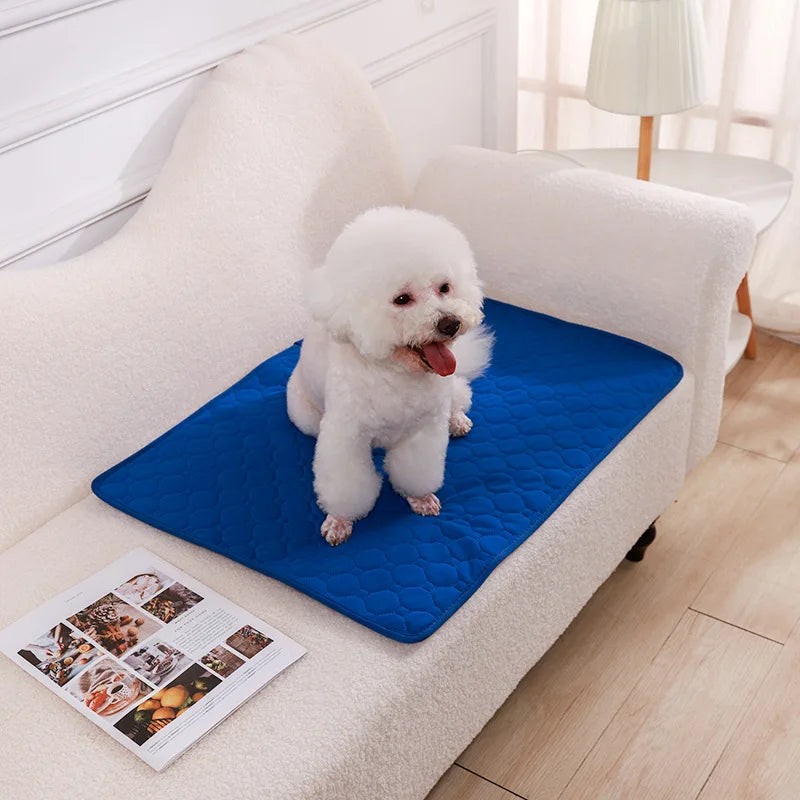 Reusable Dog Pee Pad Blanket – Waterproof, Highly Absorbent Washable Puppy Training Pad & Pet Bed Mat for Car Seat Protection