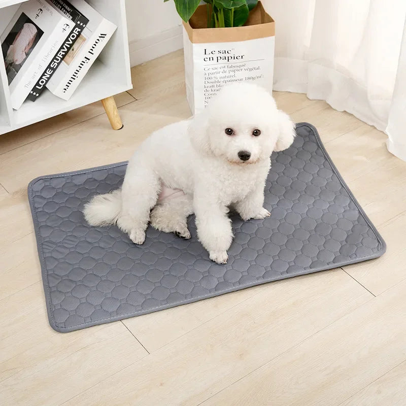 Reusable Dog Pee Pad Blanket – Waterproof, Highly Absorbent Washable Puppy Training Pad & Pet Bed Mat for Car Seat Protection