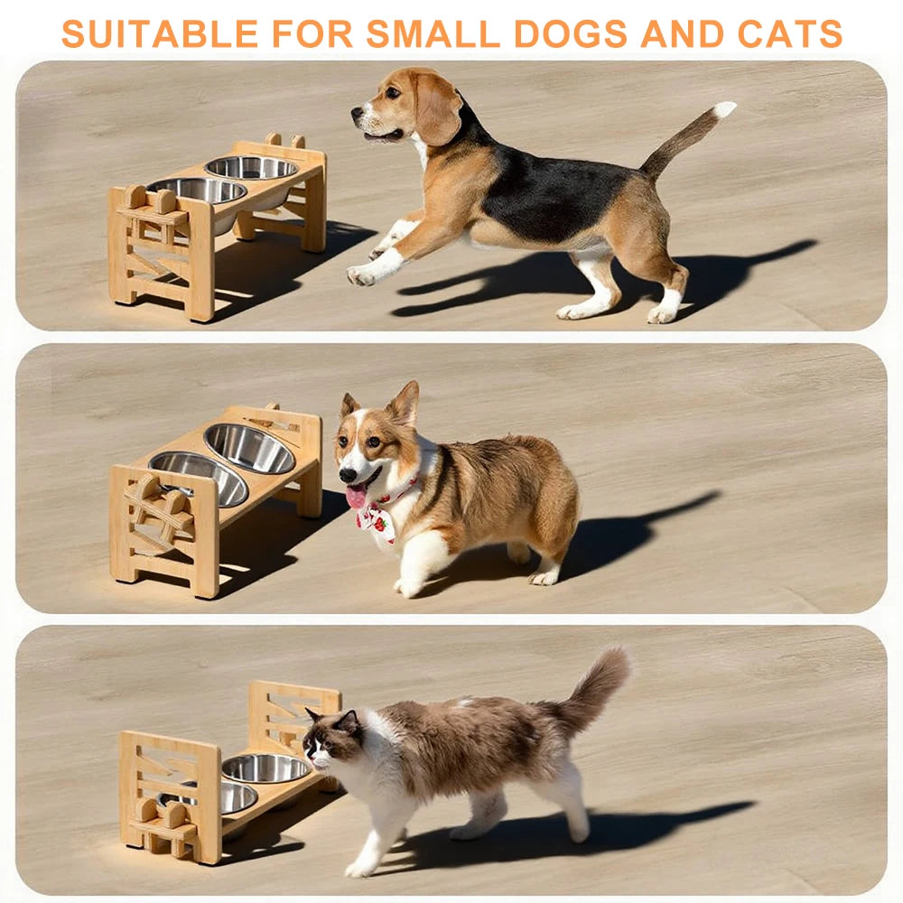 Elevated Tilted Pet Bowls – 15° Raised Stainless Steel Food and Water Feeder Stand for Small Dogs and Cats – Ergonomic Anti-Vomiting Station