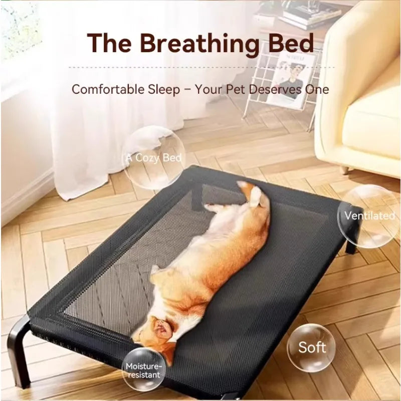 Elevated Dog Bed for Outdoor and Indoor Use – Moisture-Proof Raised Pet Cot with Non-Slip Feet – Durable Portable Bed for Large Dogs and Cats