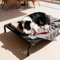 Elevated Dog Bed for Outdoor and Indoor Use – Moisture-Proof Raised Pet Cot with Non-Slip Feet – Durable Portable Bed for Large Dogs and Cats