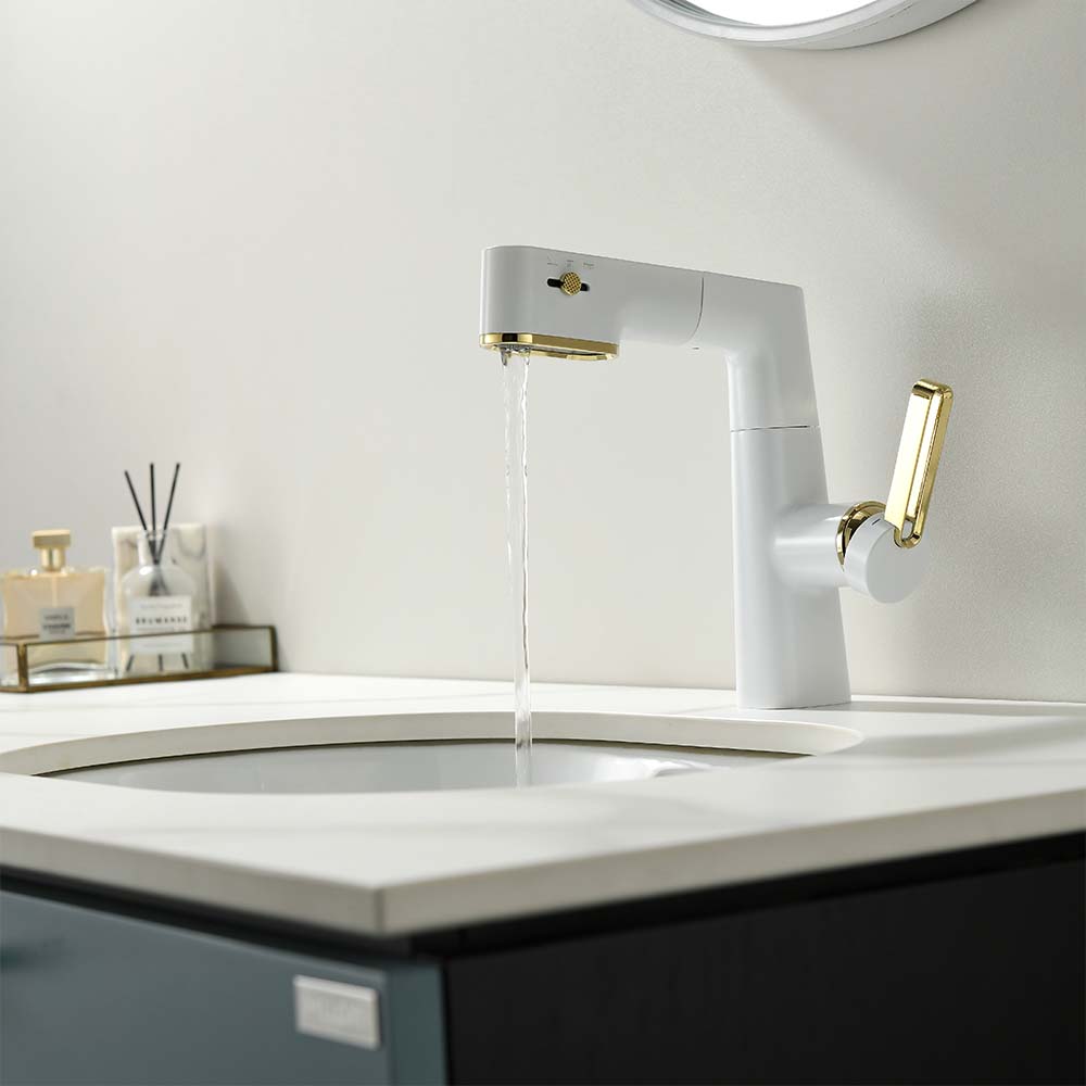 Contemporary Single-Hole Deck Mounted Faucet, Multi-Functional Faucet
